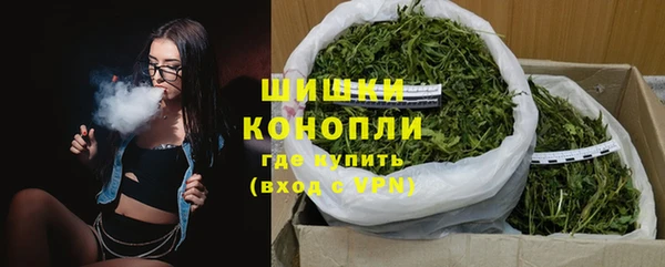 тгк Бородино