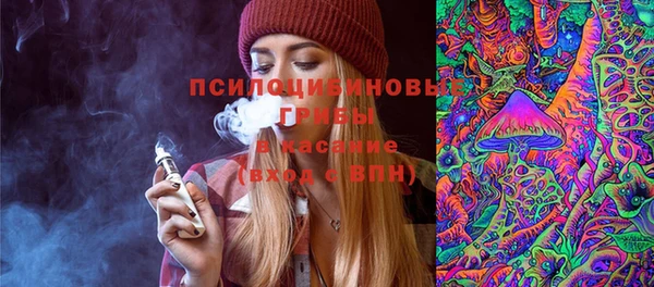 тгк Бородино