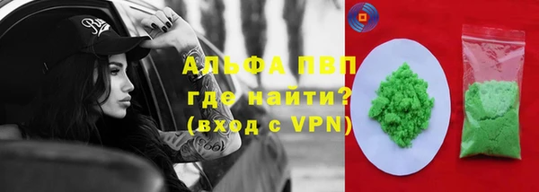 тгк Бородино