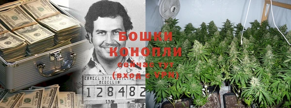 тгк Бородино
